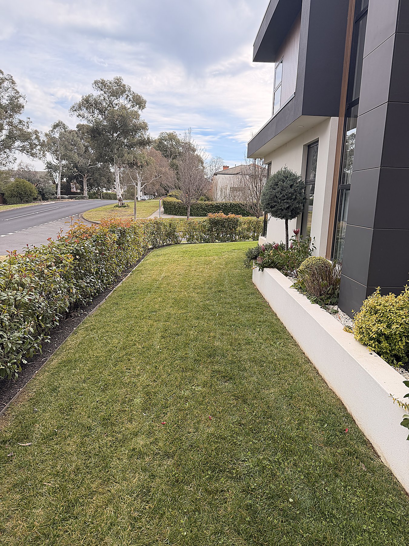 Freshly mown front lawn — Mowtion Gardens, Canberra
