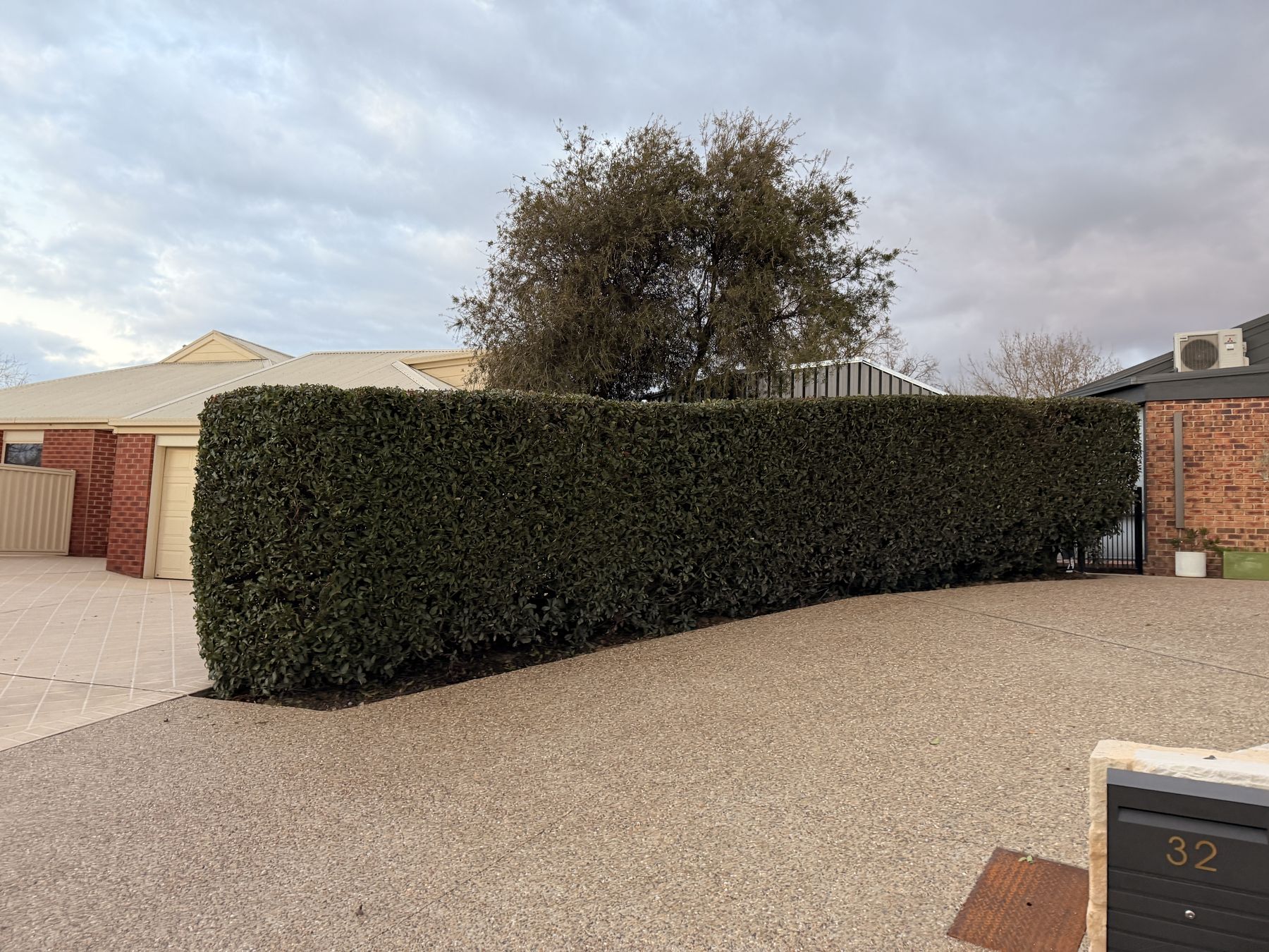 Trimmed hedge — Mowtion Gardens, Canberra