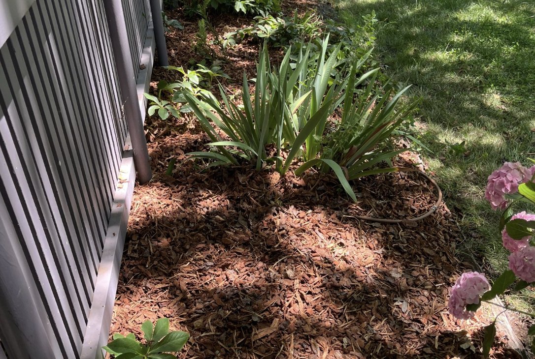 Mulched garden bed — Mowtion Gardens, Canberra